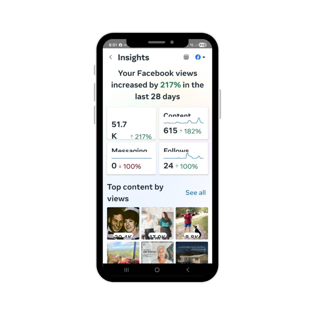 28 Day Meta Stats for Snap Marketing - Social Media Marketing
