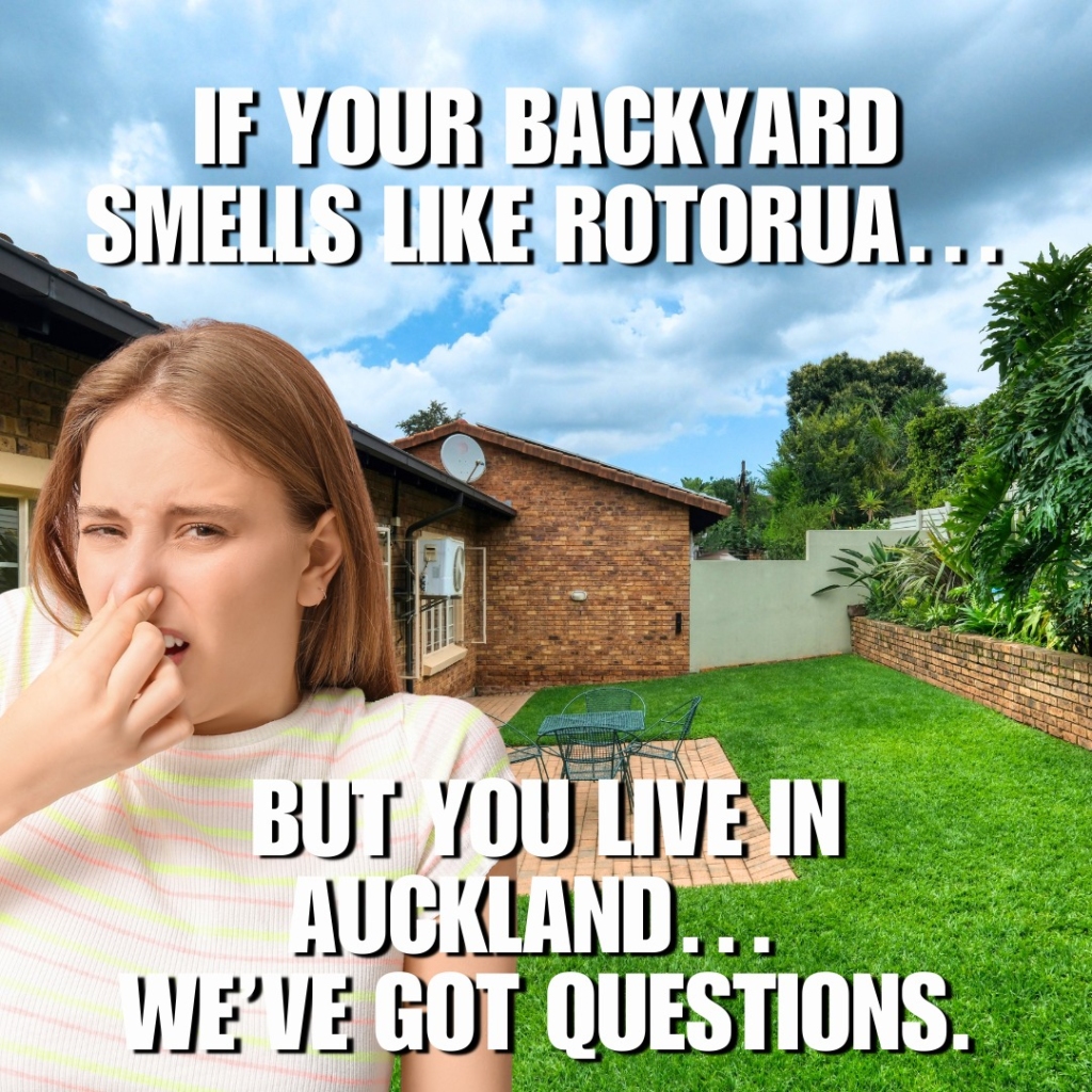 CCTV Drain Inspections Auckland