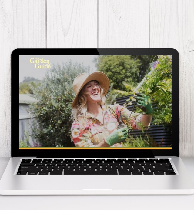 490909697_1050088233843176_8371346190077573693_n